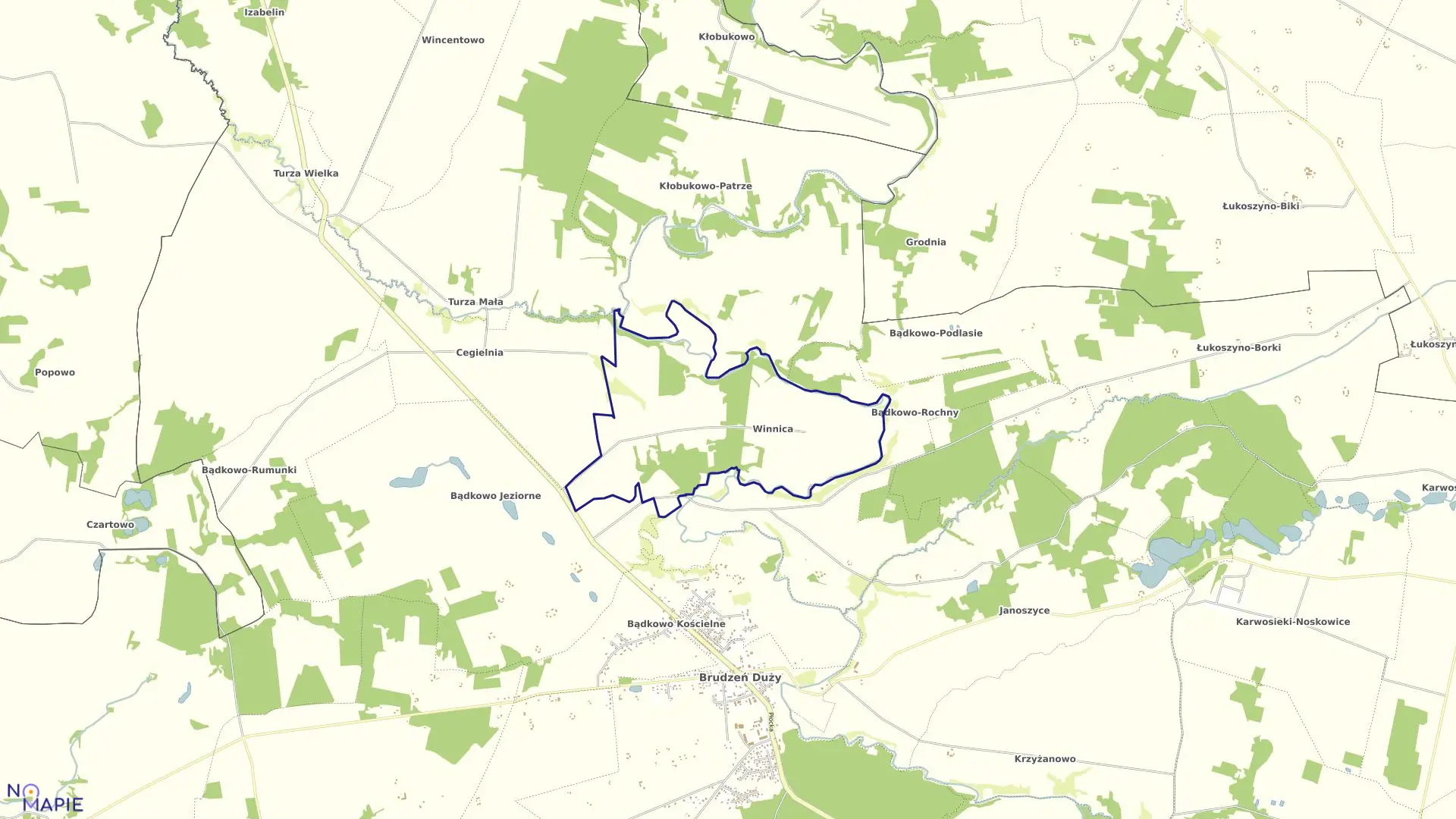 Mapa obrębu WINNICA w gminie Brudzeń Duży